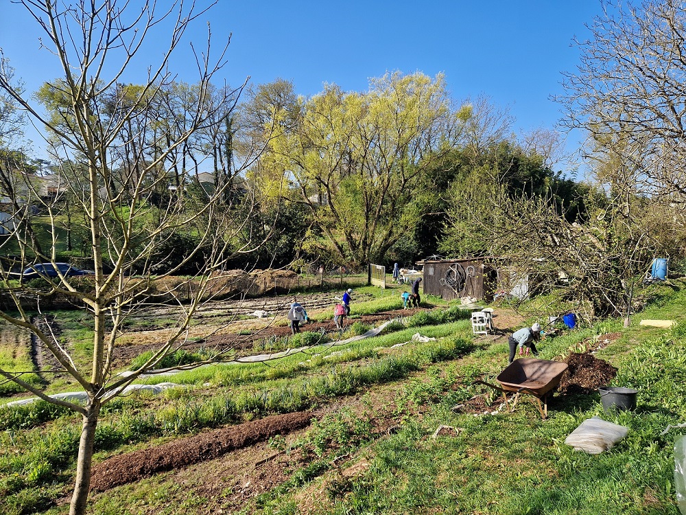 Chantier maraichage chez Joshua Beyries